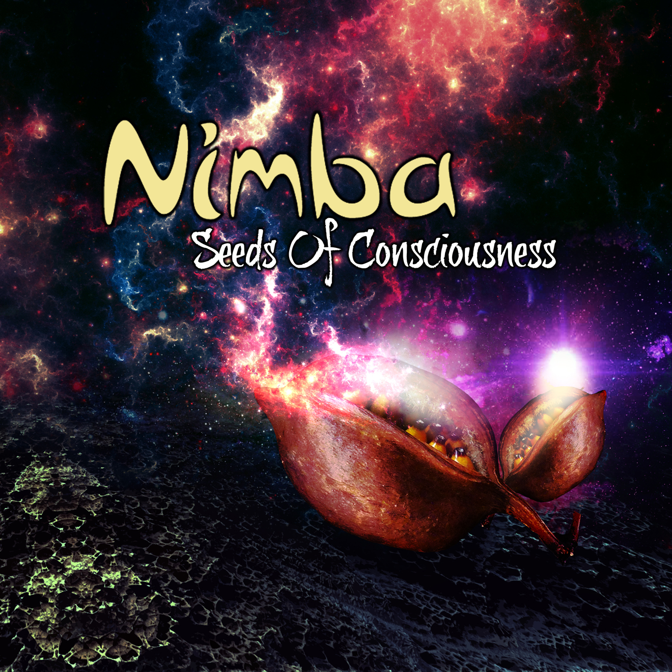 Seeds of Conciousness Front